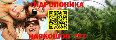 PSILOCYBIN Бузулук