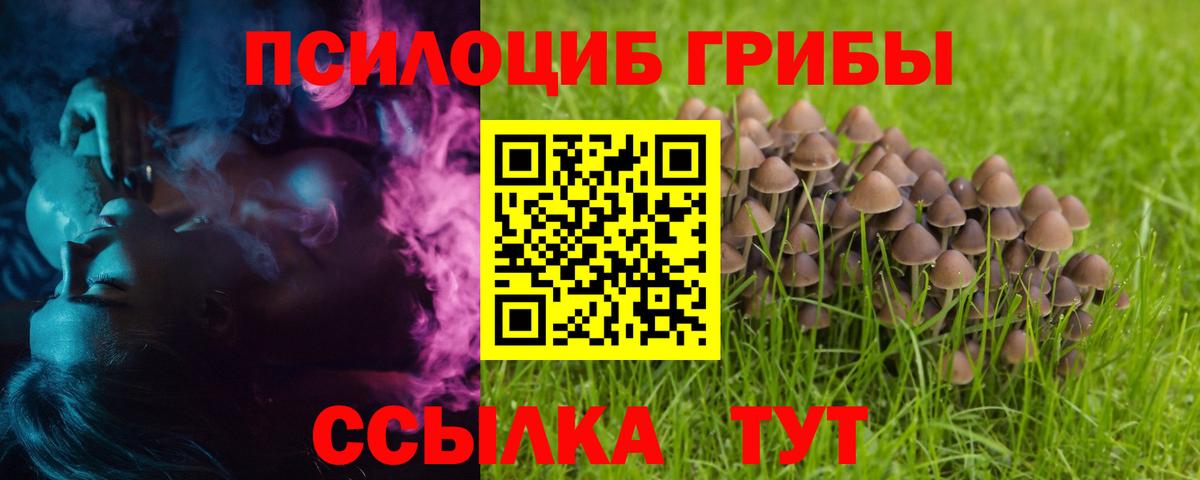 Псилоцибиновые грибы мухоморы  Вход с VPN  наркота  Топки 